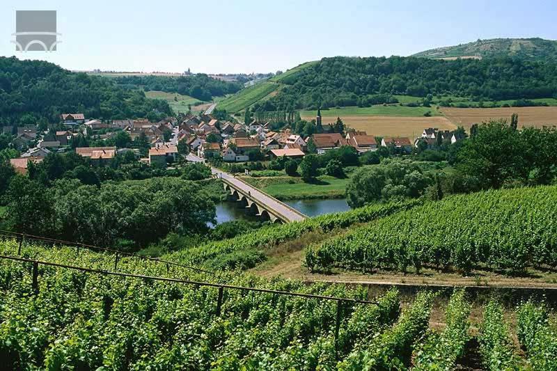 Winetime Apartment Oberhausen an der Nahe ภายนอก รูปภาพ